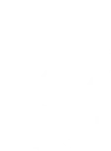 ADT, The Association of Domestic Travel