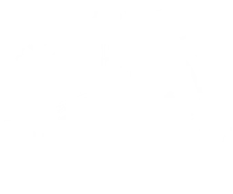 PTAA, Phuket Travel Agents Association